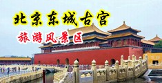 屄尿尿视频网中国北京-东城古宫旅游风景区